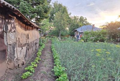 Casă cu Teren 3600 Mp în Petru Rareș