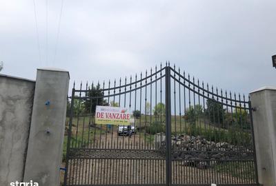Teren de 11600 mp, în Viile Satu Mare - 9