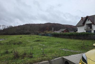 Teren de 2800 mp, în Borlești