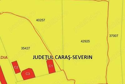 Teren de 5400 mp, în Topleț - 4