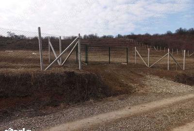 Teren de 9500 mp, în Podgoria