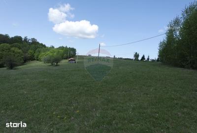 Teren de 7500 mp, în Copalnic - 10