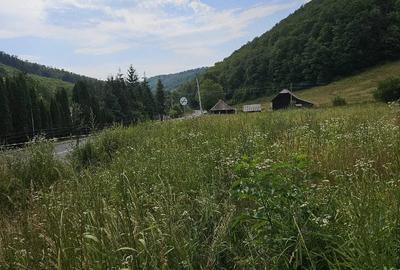 Teren de 5500 mp, în Hurez - 6
