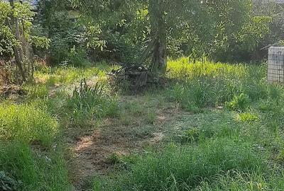 Casă cu Teren 1065 Mp în Domnești
