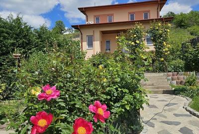 Casă cu 2 camere în Podgoria - 1