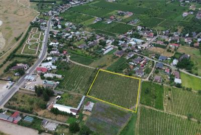Teren de 7425 mp, în Odobești - 1