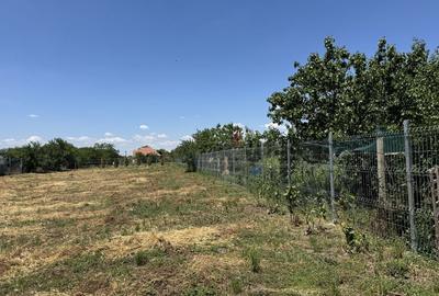 Casă cu 2 camere în Ianova - 3