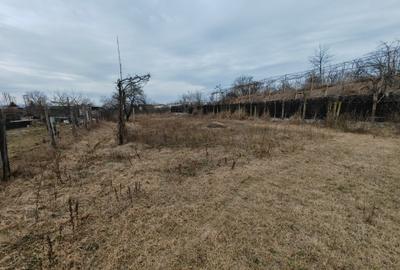 Teren Construcții intravilan de 2005 mp, în Letea - 5