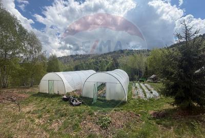 Casă cu 14 camere cu Teren 62330 Mp în Horea - 38