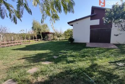 Casă individuală cu 5 camere cu Garaj în Șag - 38