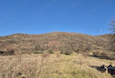 Teren de 3000 mp, în Aninoasa - 5