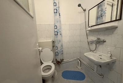 Garsonieră decomandată în Alexandru cel Bun - 7