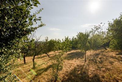 Casă individuală cu 6 camere cu Teren 1012 Mp în Spitalul Județean - 28