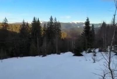 Teren de 2000 mp, în Pojorâta - 1