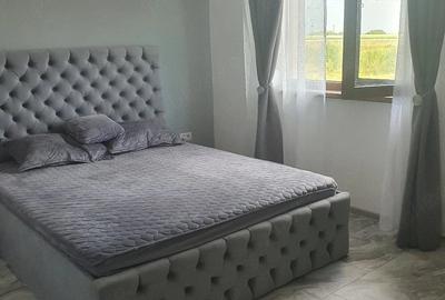 Casă cu Teren 430 Mp în Plopi - 1