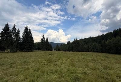 Teren Construcții intravilan de 1500 mp, în Comandău - 13