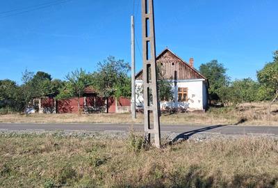 Casă cu Teren 3001 Mp în Bethausen