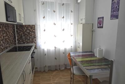 Apartament cu 2 camere semidecomandat în Craiovei - 9