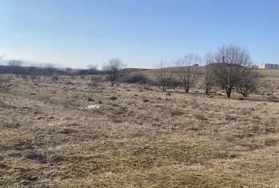 Teren de 1000 mp, în Șelimbăr