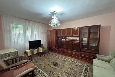 Apartament cu 2 camere decomandat, mobilat în Podgoria