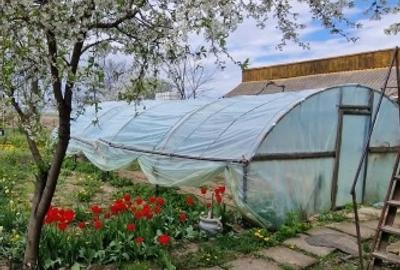 Casă individuală cu 5 camere cu Teren 5000 Mp în Miroslovești - 5