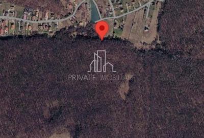 Teren extravilan de 90000 mp, în Corunca - 1