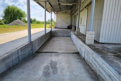 Spațiu industrial, de 5,926 mp, în Tomnatic - 11