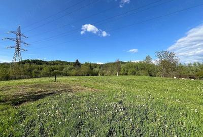 Teren de 4000 mp, în Central