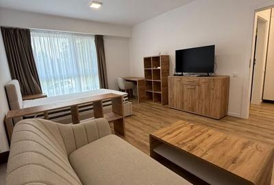 Garsonieră decomandată în Dosu Bricii - 1