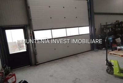 Spațiu comercial, de 480 mp, în Ștefănești - 2