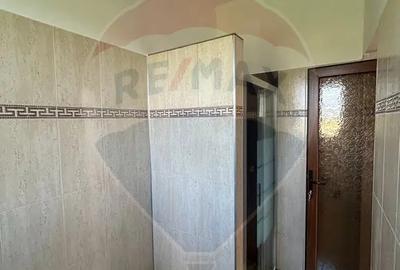 Casă cu 5 camere cu Teren 10400 Mp în Botiz - 11
