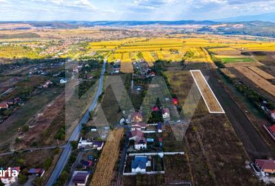 Teren de 5000 mp, în Câineni