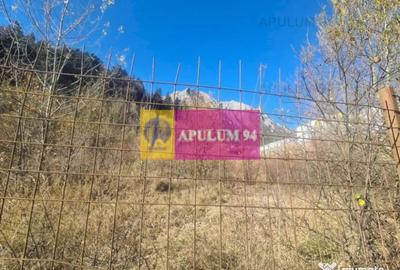 Teren de 14969 mp, în Bușteni - 7
