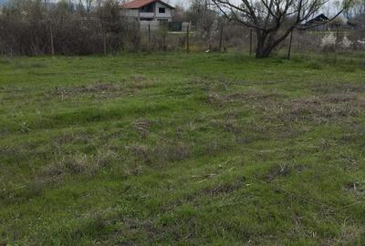 Teren de 5000 mp, în Șimian - 7