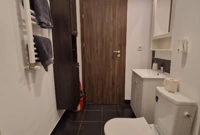 Apartament cu 2 camere decomandat, mobilat în Theodor Pallady - 7