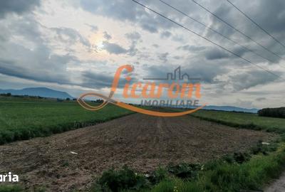 Teren de 11800 mp, în Stupini - 8