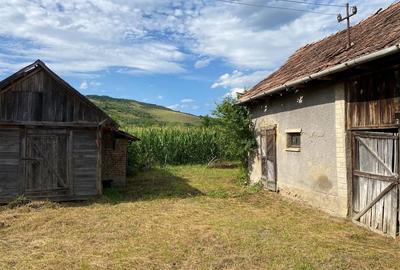 Casă cu 2 camere în Căianu