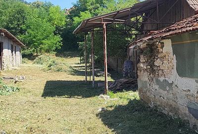 Casă cu Teren 1330 Mp în Rapolțel