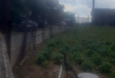 Teren de 781 mp, în Cetariu