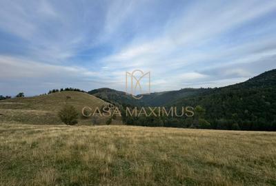 Teren extravilan de 14526 mp, în Rășinari - 3