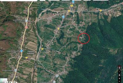 Teren de 3300 mp, în Vulturești