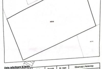 Teren Construcții intravilan de 450 mp, în Sânmihaiu Român - 8
