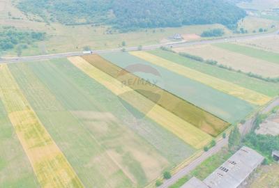 Teren agricol intravilan de 8600 mp, în Periferie - 11