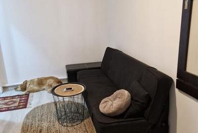 Garsonieră nedecomandată în Șagului - 5