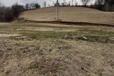 Teren de 25000 mp, în Șugag - 6