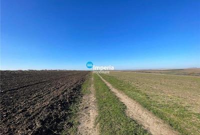 Teren agricol extravilan de 30000 mp, în Horlești (Rediu) - 1