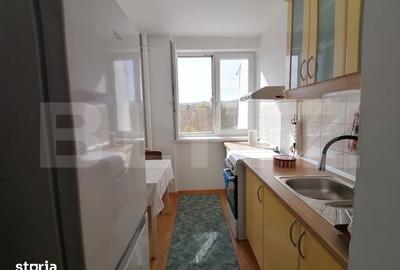 Apartament cu 2 camere semidecomandat în Grigorescu - 4