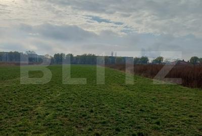 Teren agricol extravilan de 3800 mp, în Est
