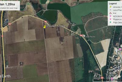Teren Construcții intravilan de 12500 mp, în 23 August - 10
