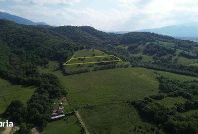 Teren de 11000 mp, în Cheile Râșnoavei - 2